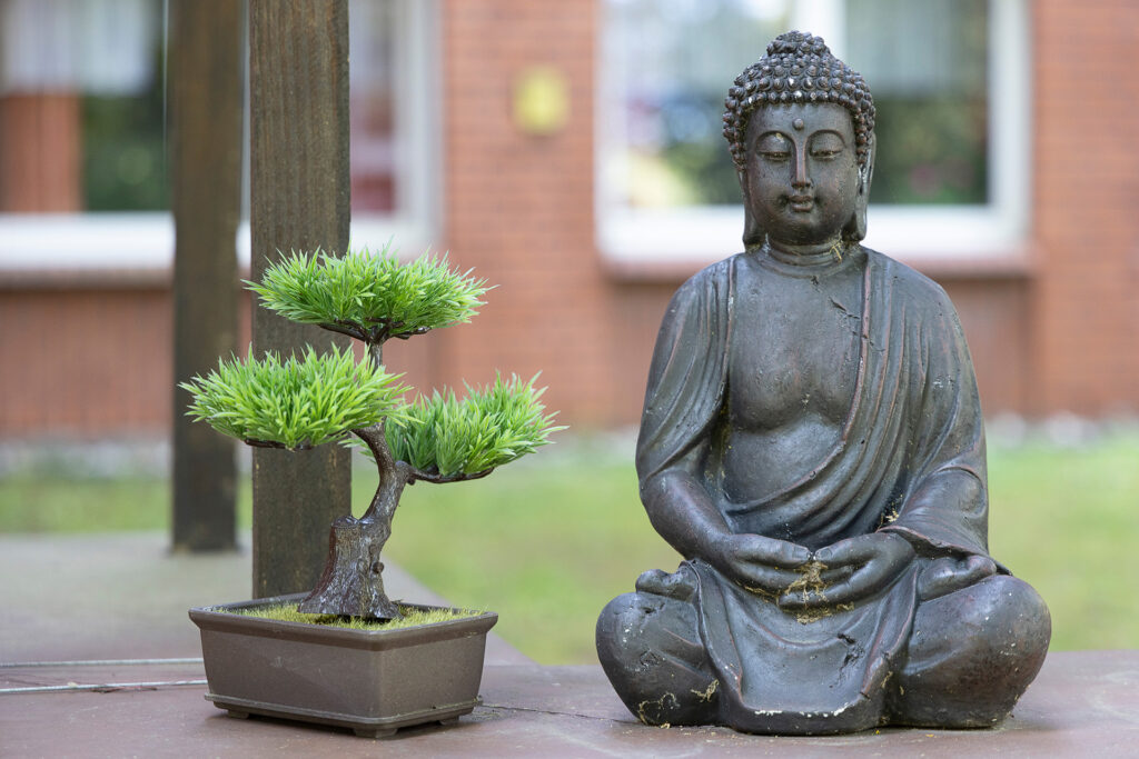 Auch im Außenbereich ist alles dekoriert, zum Beispiel mit Bonsaibäumchen und Budda-Figuren.